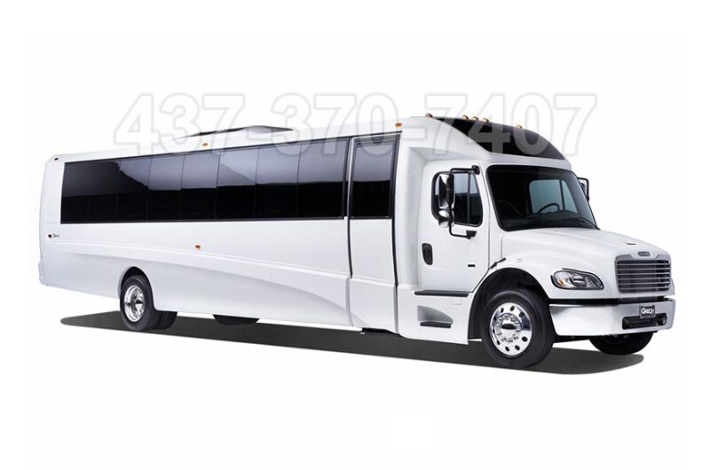 20-22 Mini Limo Bus